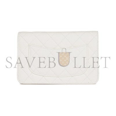 CHANEL WALLET ON CHAIN WOC AP3127 (19*12*4cm)