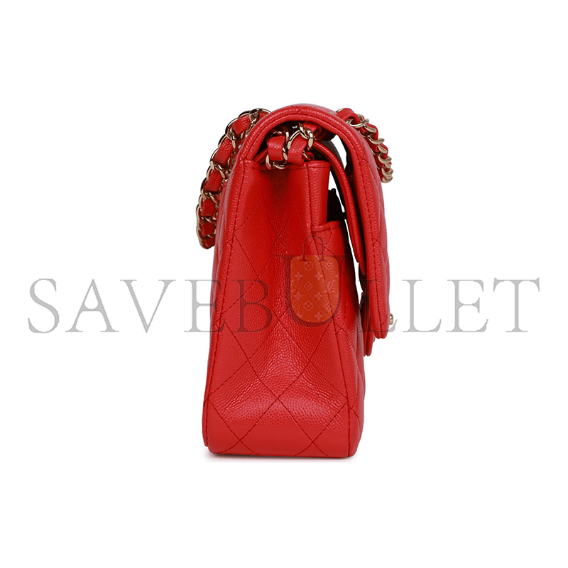 CHANEL MEDIUM CLASSIC DOUBLE FLAP BAG 1138709 (25*15*6cm)