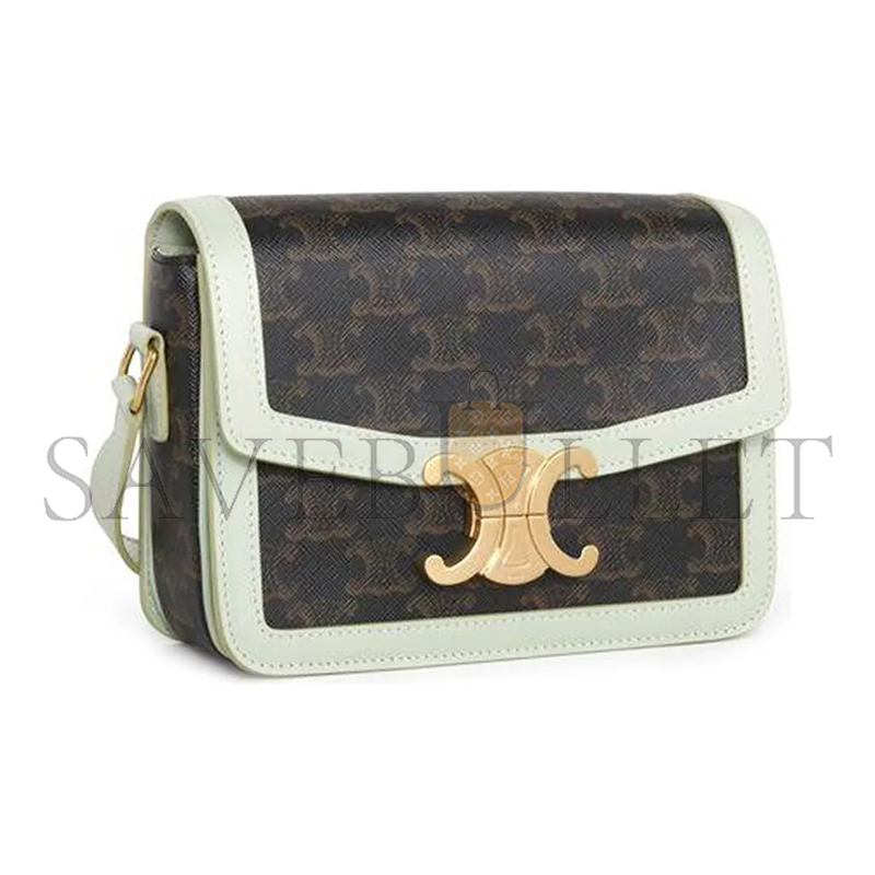 CELINE SMALL TEEN TRIOMPHE BAG IN TRIOMPHE CANVAS AND CALFSKIN 188882COZ.30PA (18.5*14*6cm)